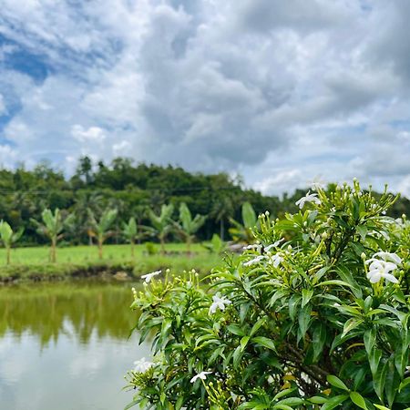 Jazz Ferme Inn Batuan Bohol المظهر الخارجي الصورة