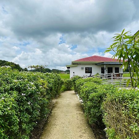Jazz Ferme Inn Batuan Bohol المظهر الخارجي الصورة