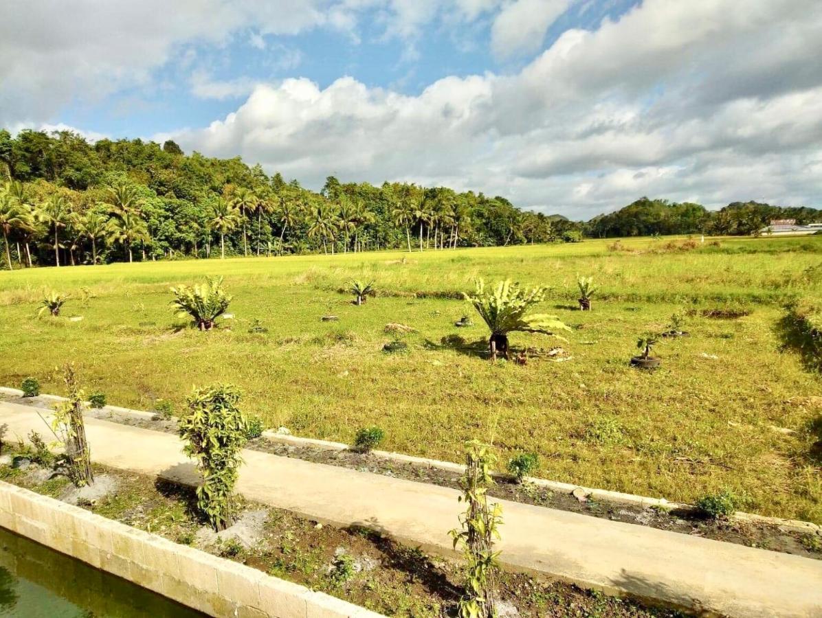 Jazz Ferme Inn Batuan Bohol المظهر الخارجي الصورة