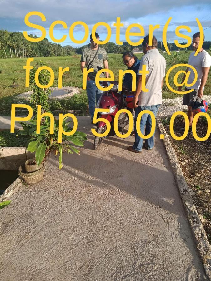 Jazz Ferme Inn Batuan Bohol المظهر الخارجي الصورة