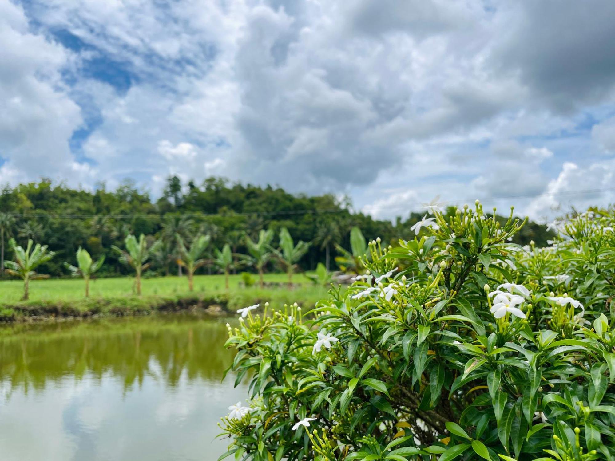 Jazz Ferme Inn Batuan Bohol المظهر الخارجي الصورة
