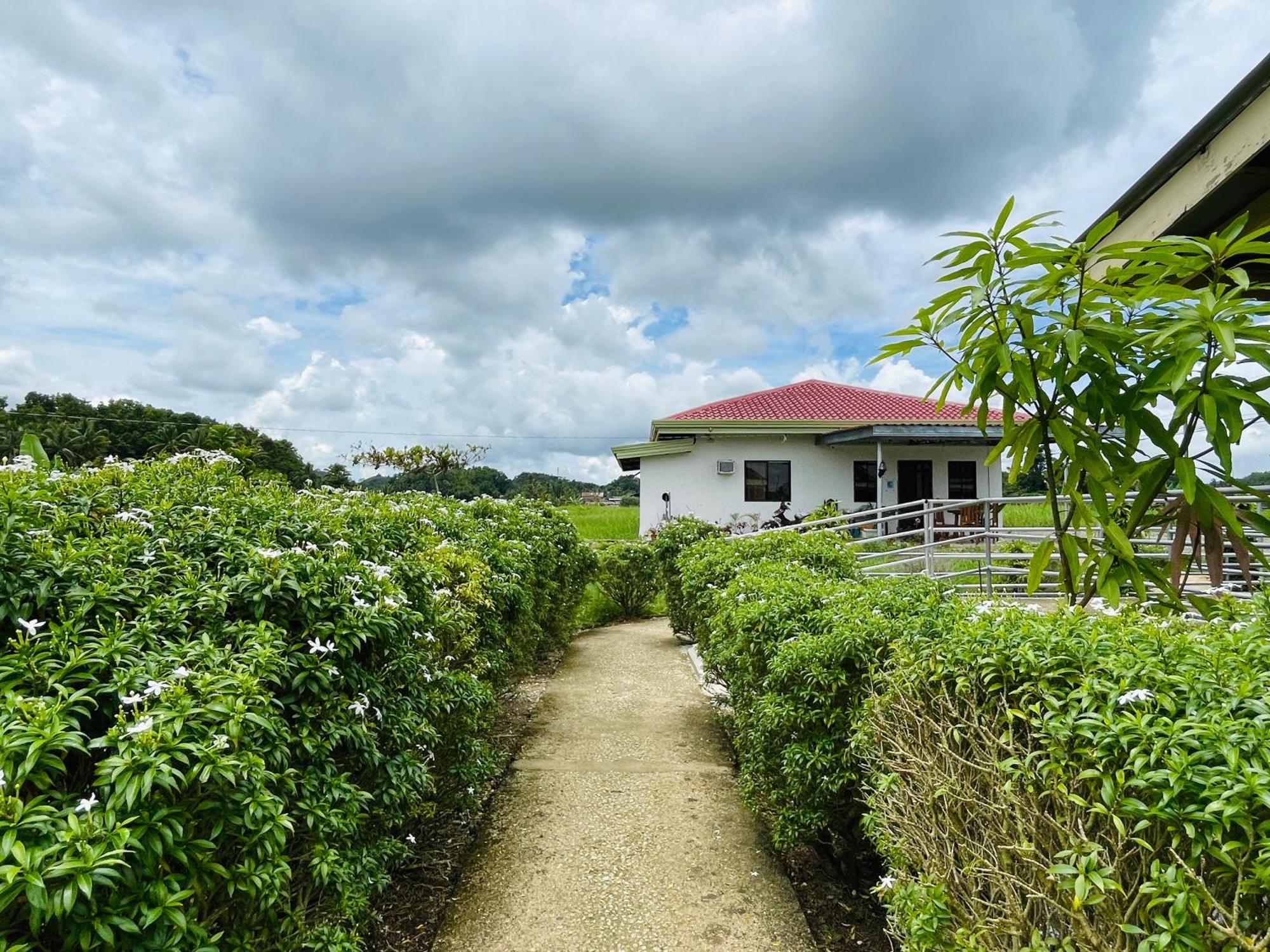 Jazz Ferme Inn Batuan Bohol المظهر الخارجي الصورة