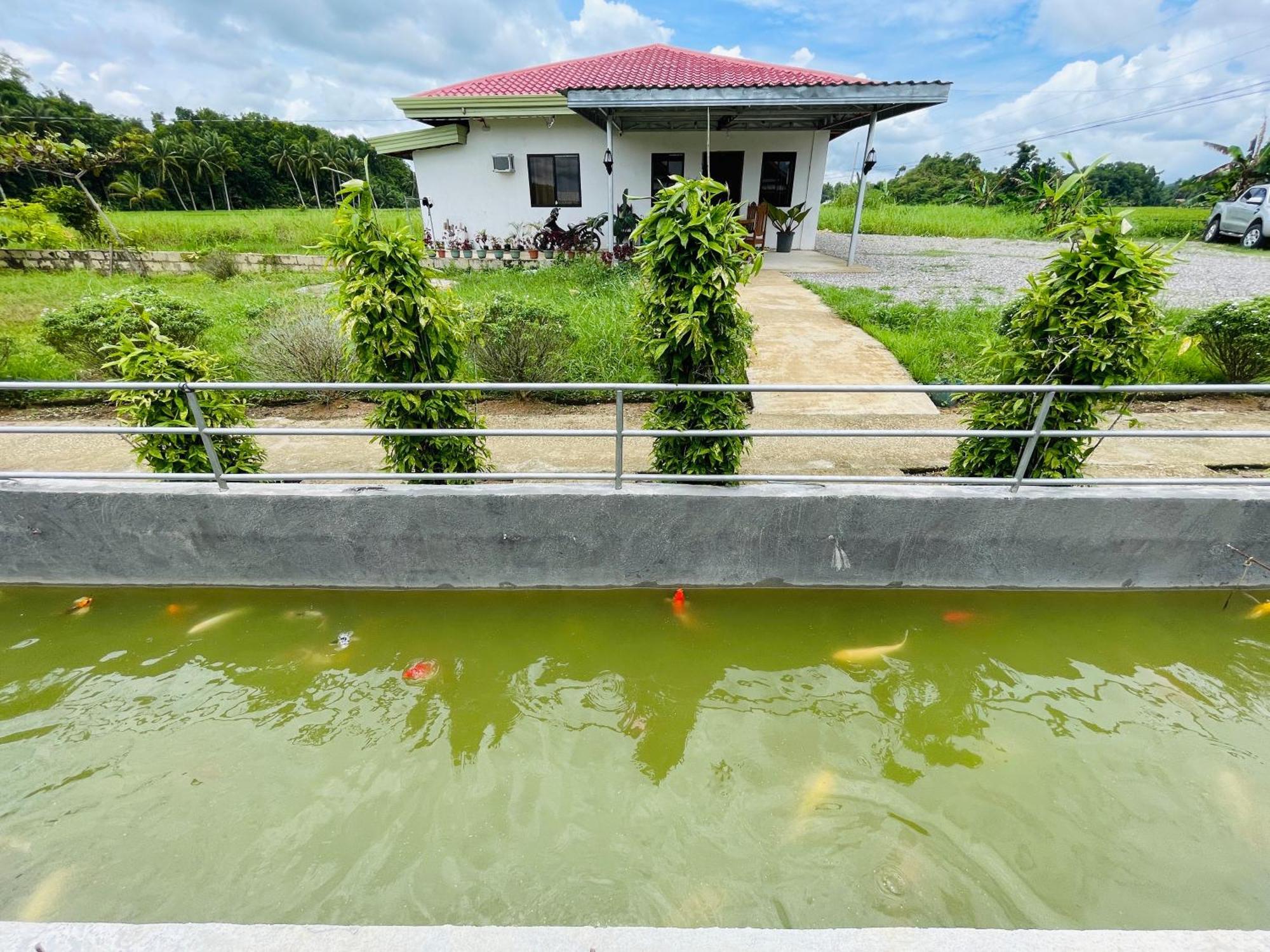 Jazz Ferme Inn Batuan Bohol المظهر الخارجي الصورة