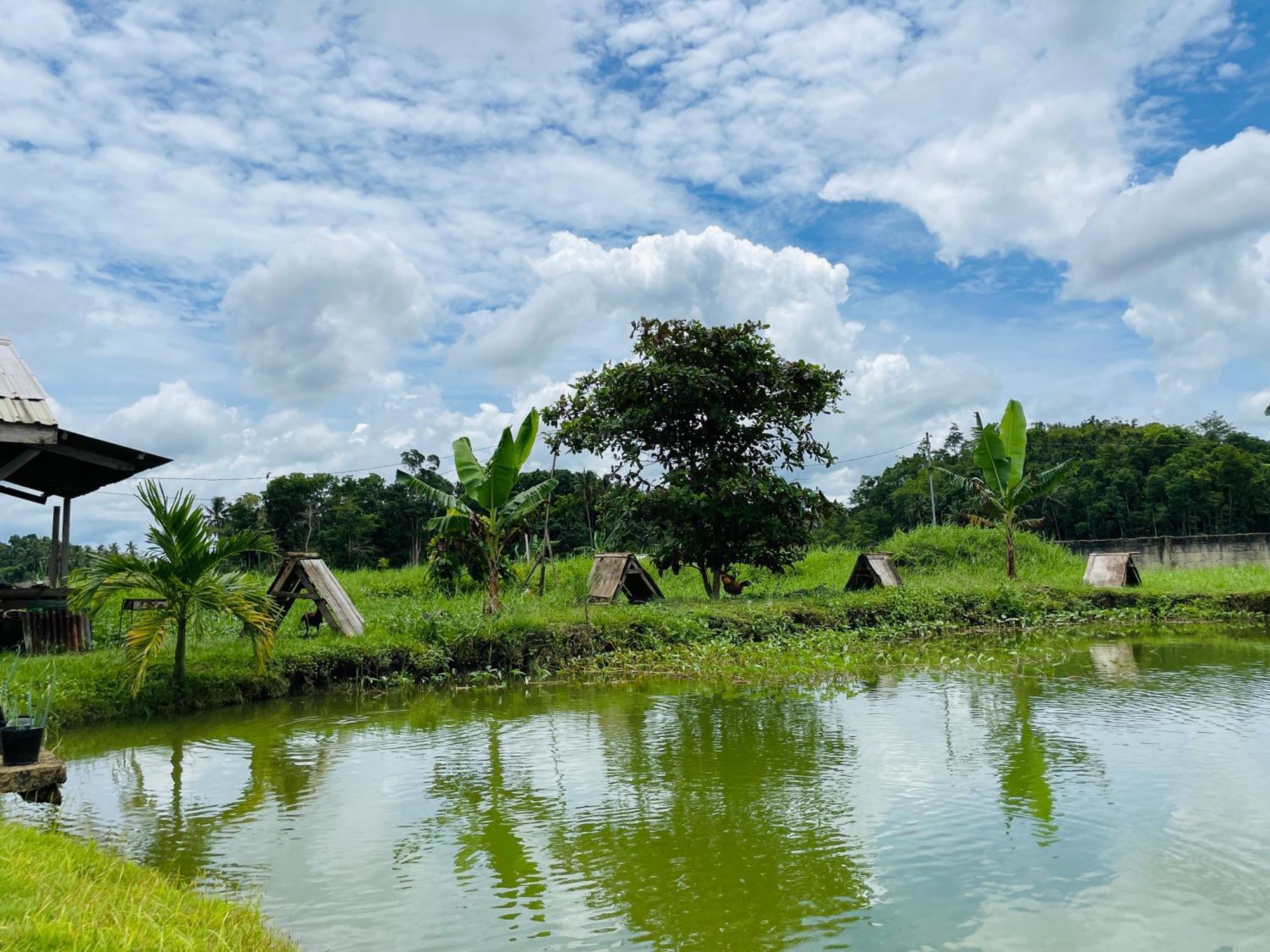 Jazz Ferme Inn Batuan Bohol المظهر الخارجي الصورة