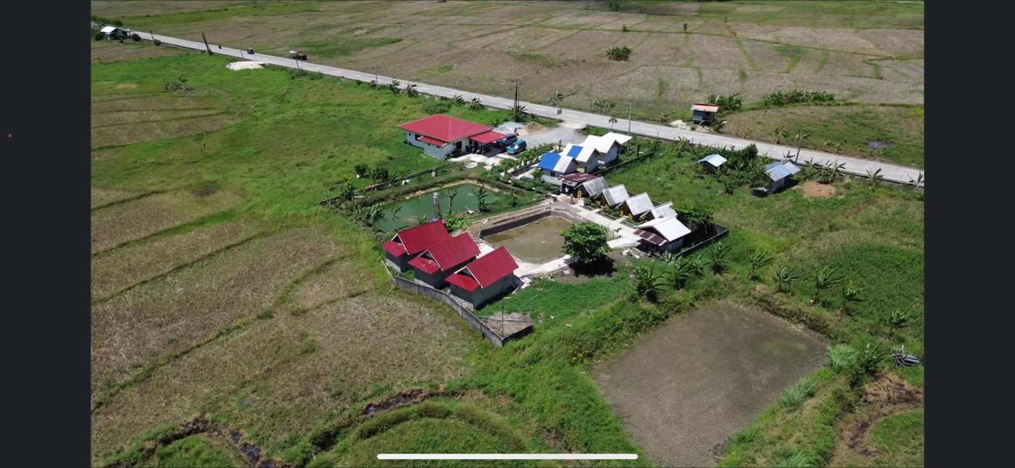 Jazz Ferme Inn Batuan Bohol المظهر الخارجي الصورة